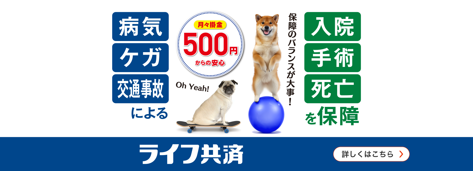 ライフ共済