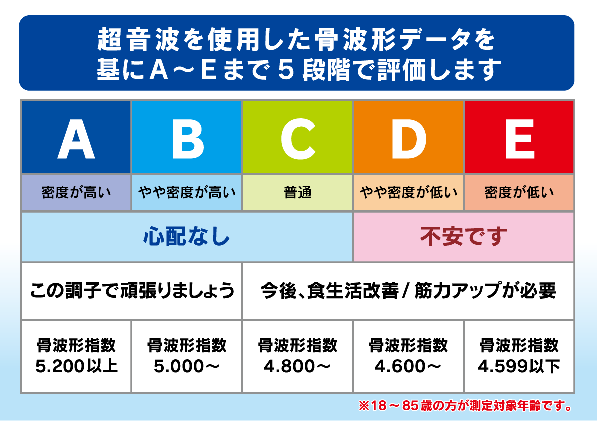 年齢と性別に応じた骨波形データ（超音波）を基にＡ～Ｅまで5段階で評価します