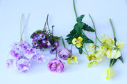 花材の画像