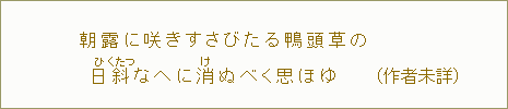 朝露に咲きすさびたる鴨頭草の　日斜＜ひくたつ＞なへに消＜け＞ぬべく思ほゆ　（作者未詳）