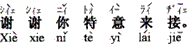 中国語:わざわざお出迎えに来て頂き、有難うございます。