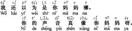中国語:(あなたの)お母さんだと思ったよ。(あなたの)声は本当にお母さんに似ているね。