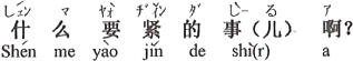 中国語:何の大事なことなの?