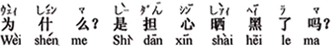 中国語:なぜですか。日焼けして黒くなるのが恐いのですか。