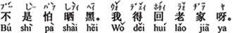 中国語:日焼けが恐いのではありません。私は実家へ帰らなければならないのですよ。