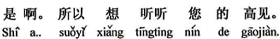 中国語:そうなんです。だからあなたのご高見を伺いたいのです。