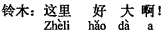 中国語:ここはとても大きいですね。