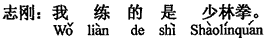 中国語:私が(練習)したのは少林寺拳法です。