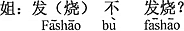 中国語:熱はあるの。